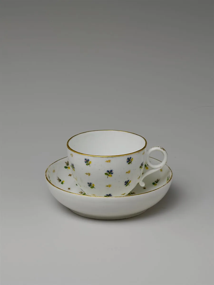 Cup and Saucer — Unknown