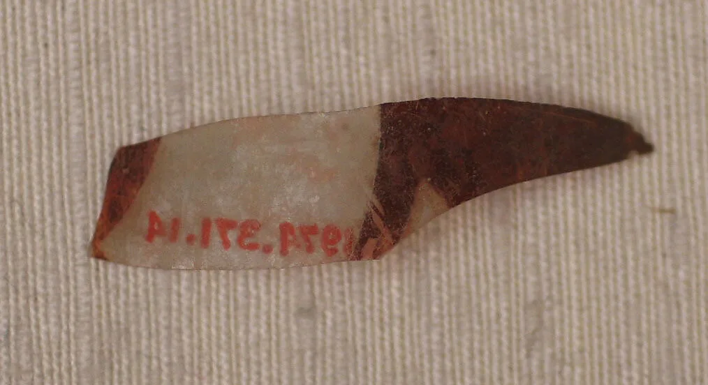Fragment — Unknown