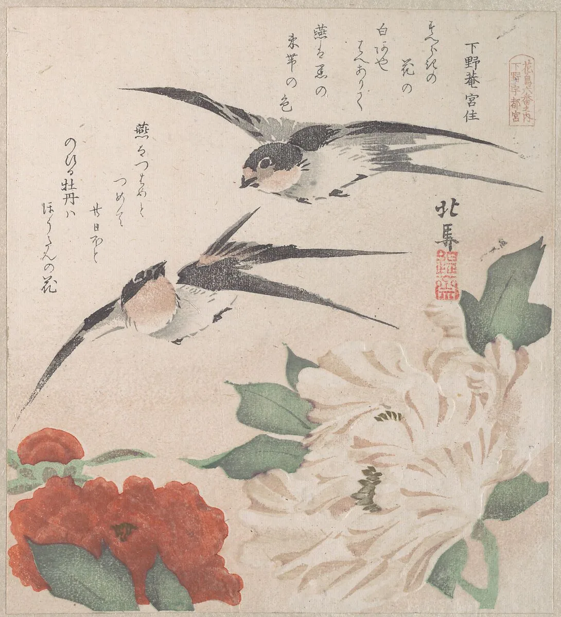 摺物帖 『春雨集』 『花鳥六番之内 下野宇都宮』 牡丹に燕|Spring Rain Collection (Harusame shū), vol. 3: Swallows and Peonies — Teisai Hokuba
