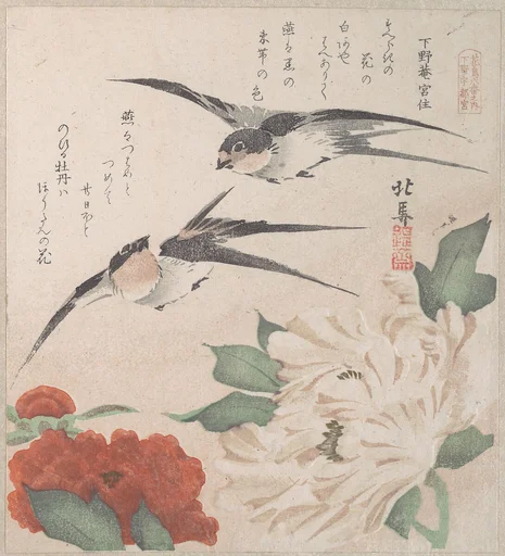 摺物帖 『春雨集』 『花鳥六番之内 下野宇都宮』 牡丹に燕|Spring Rain Collection (Harusame shū), vol. 3: Swallows and Peonies