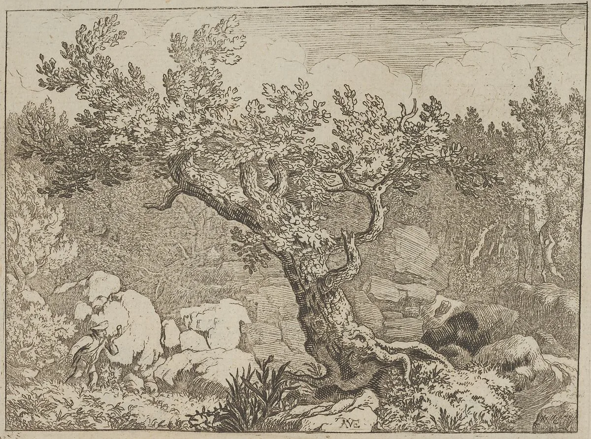 The Sportsman near the Large Tree — Allart van Everdingen