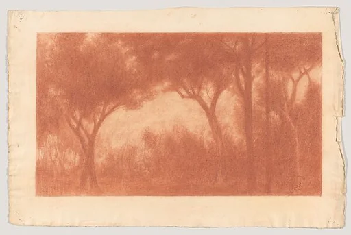 Forest Landscape with a Clearing