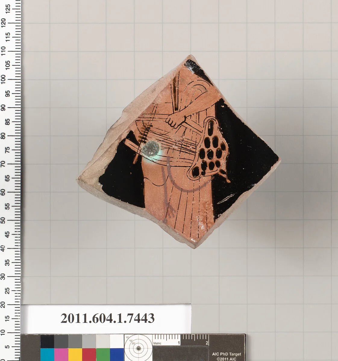 Terracotta fragment of a kylix (drinking cup) — Unknown