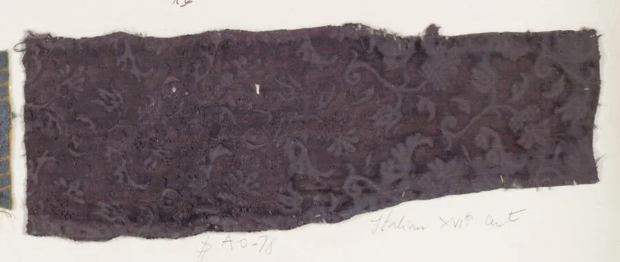 Fragment — Unknown