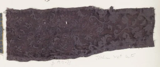 Fragment