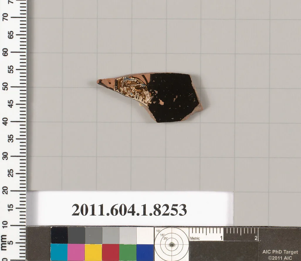 Terracotta fragment of a kylix (drinking cup) — Unknown
