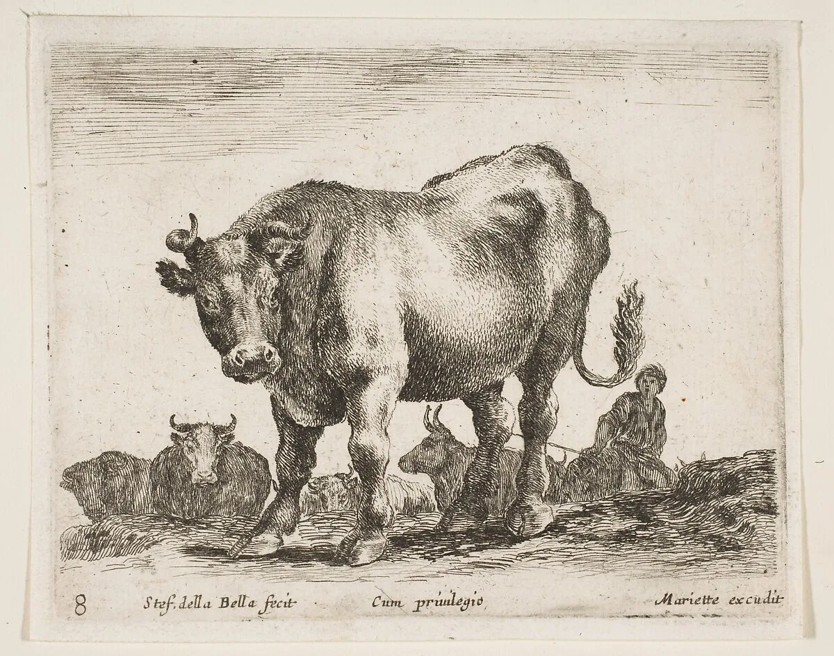 Cow, plate 8 from "Various Animals" (Diversi Animali) — Stefano della Bella|Pierre Mariette