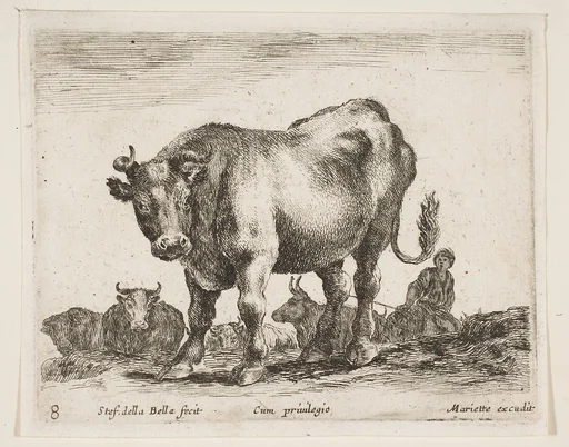 Cow, plate 8 from "Various Animals" (Diversi Animali)