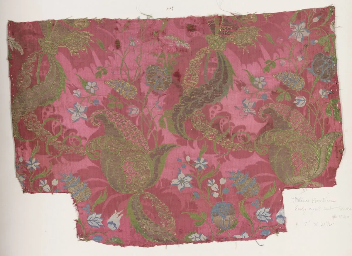 Fragment — Unknown