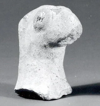 Bird head — Unknown
