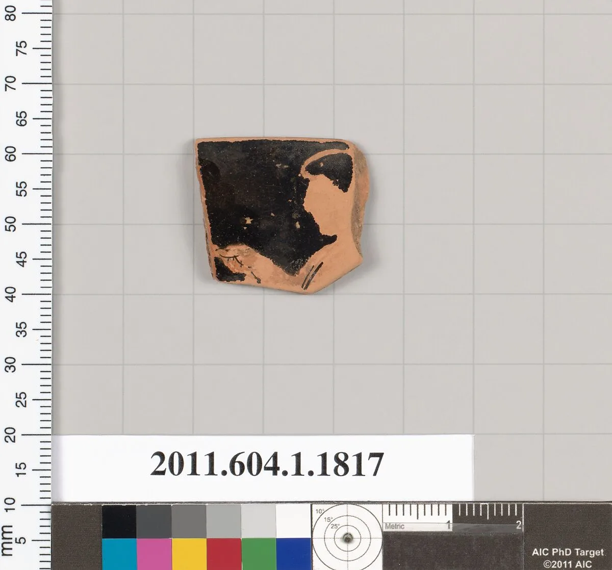 Terracotta rim fragment of a kylix (drinking cup) — Unknown