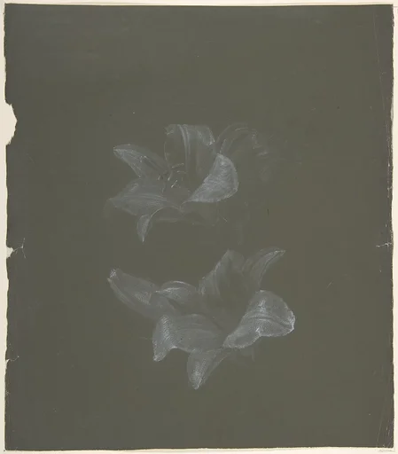 Floral Design