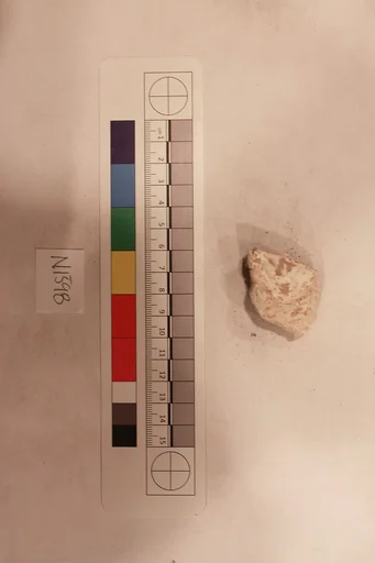 Stucco Fragment