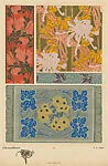 Chrysanthèmes (Chrysanthemums), pl. 17 — Emile-Allain Séguy|A. Calavas
