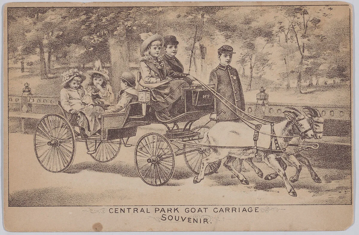 Central Park Goat Carriage (Souvenir Postcard) — Anonymous, American, 19th century