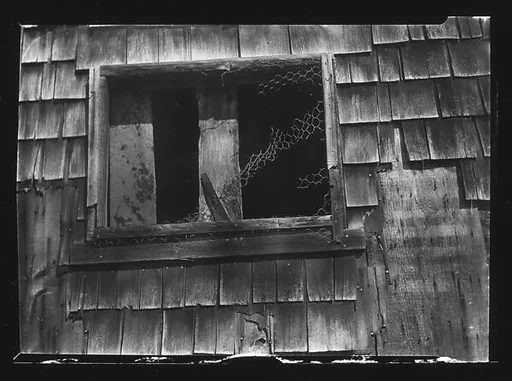 [Window with Torn Wire Fencing, Truro, Massachusetts?]