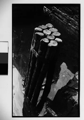 [Dock Piling]