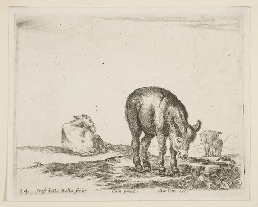 Donkeys, plate 24 from "Various Animals" (Diversi Animali)