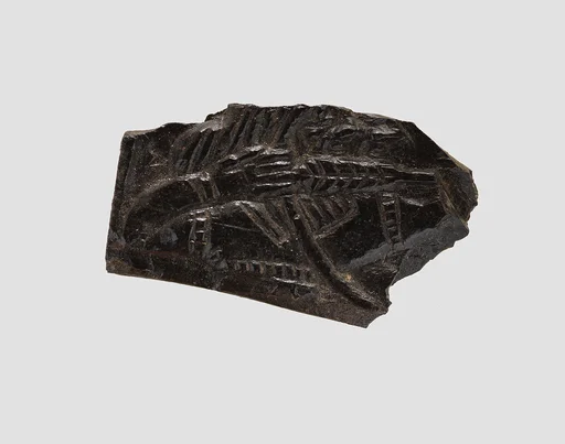 Plaque fragment