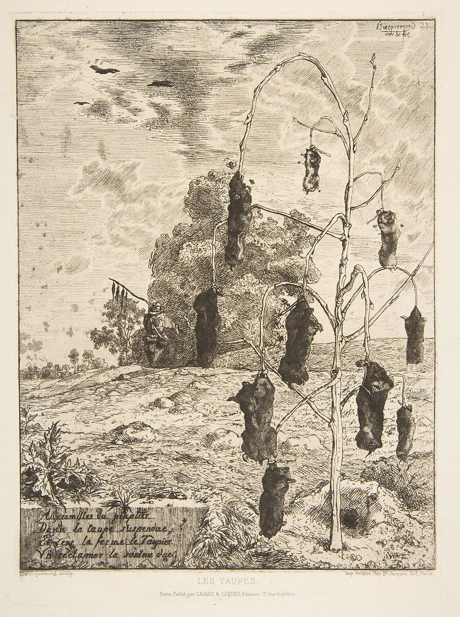 Les Taupes — Félix Bracquemond|Cadart & Luquet|Auguste Delâtre