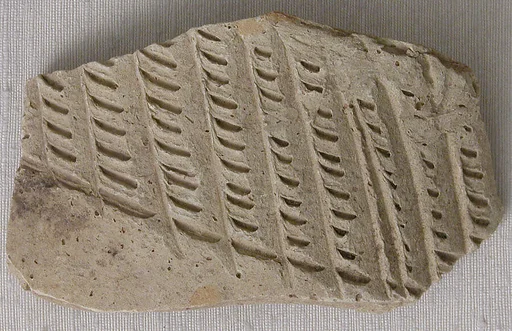 Fragment