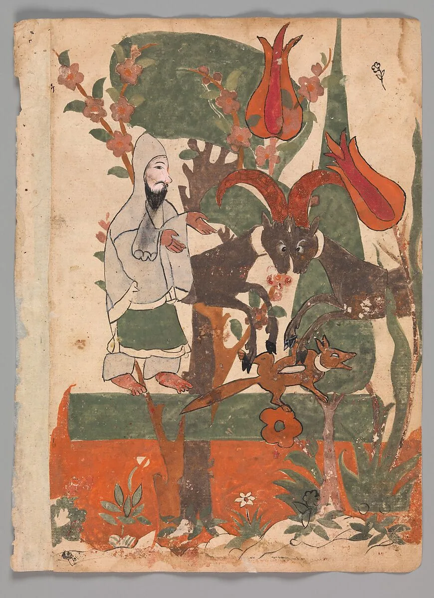 "The Fox and the Battling Rams Observed by the Ascetic", Folio from a Kalila wa Dimna — Unknown