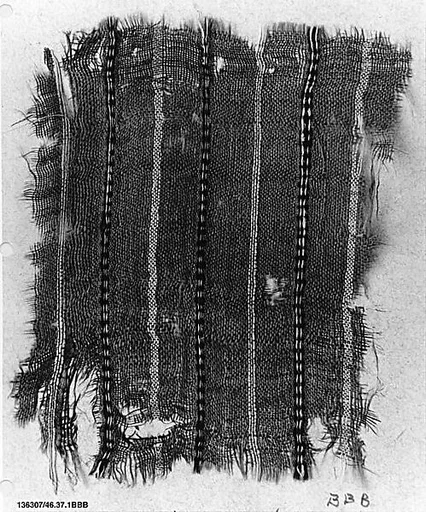Textile Fragment