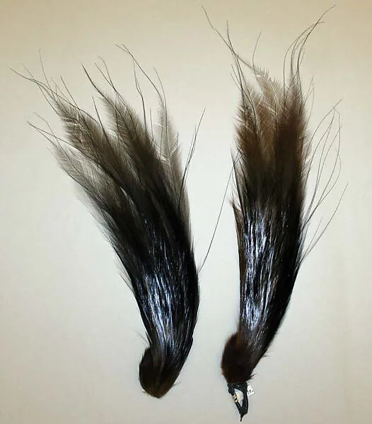 Aigrette — Unknown