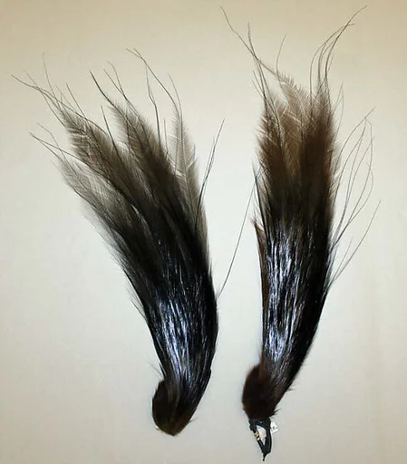 Aigrette
