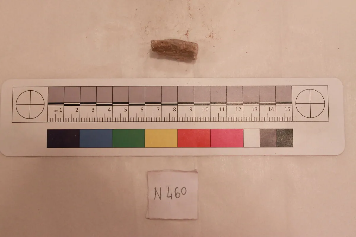 Stucco Fragment — Unknown