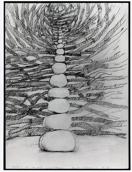 Proposal For the Met Roof Garden — Andy Goldsworthy