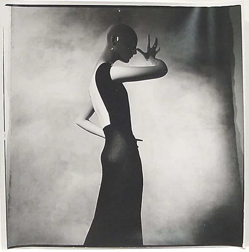 Photograph