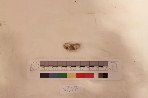 Stucco Fragment