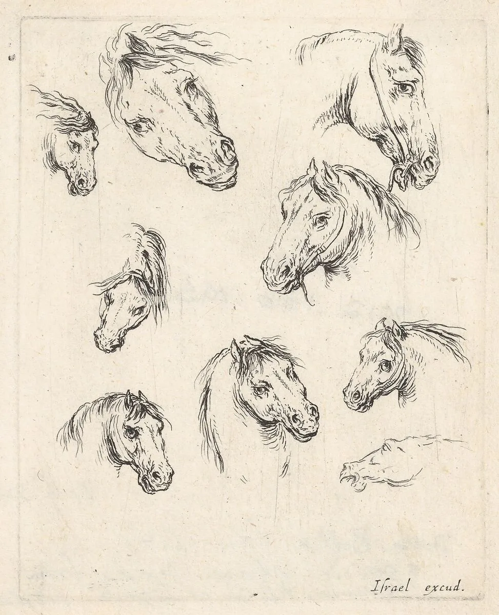 Plate 17: nine studies of horse heads, from 'Various heads and figures' (Diverses têtes et figures) — Stefano della Bella|Israël Henriet