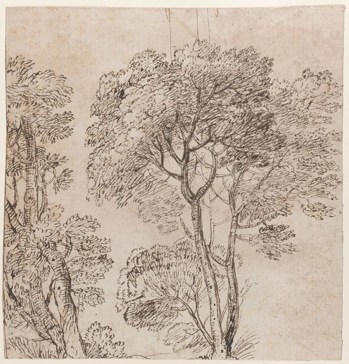 Study of a Group of Trees — Claude Lorrain (Claude Gellée)|Nicolas Poussin