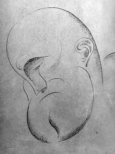 Caricature of a Man
