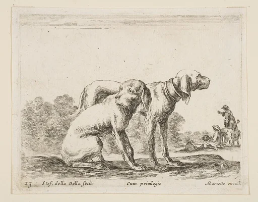 Two hounds, plate 23 from "Various Animals" (Diversi Animali)