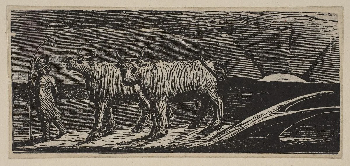 Unyok'd Heifers, Loitering Homeward (Return of the Shepherd), from Thornton's "Pastorals of Virgil" — William Blake|Robert John Thornton|Virgil