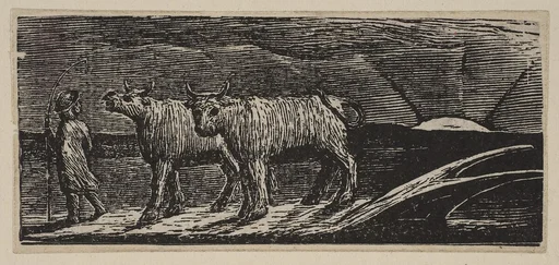 Unyok'd Heifers, Loitering Homeward (Return of the Shepherd), from Thornton's "Pastorals of Virgil"