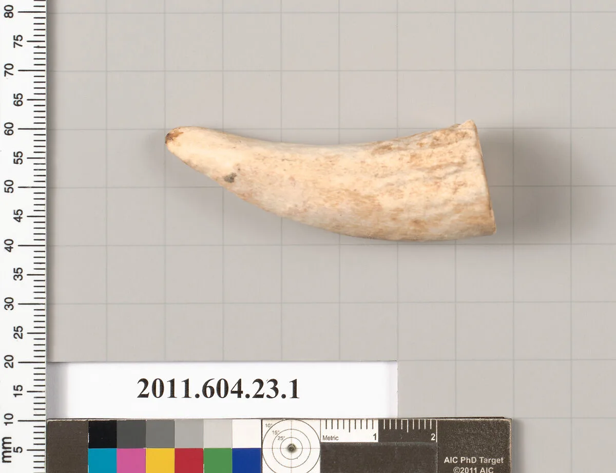 Bone or ivory fragment — Unknown