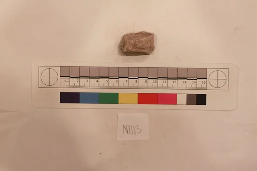 Stucco Fragment