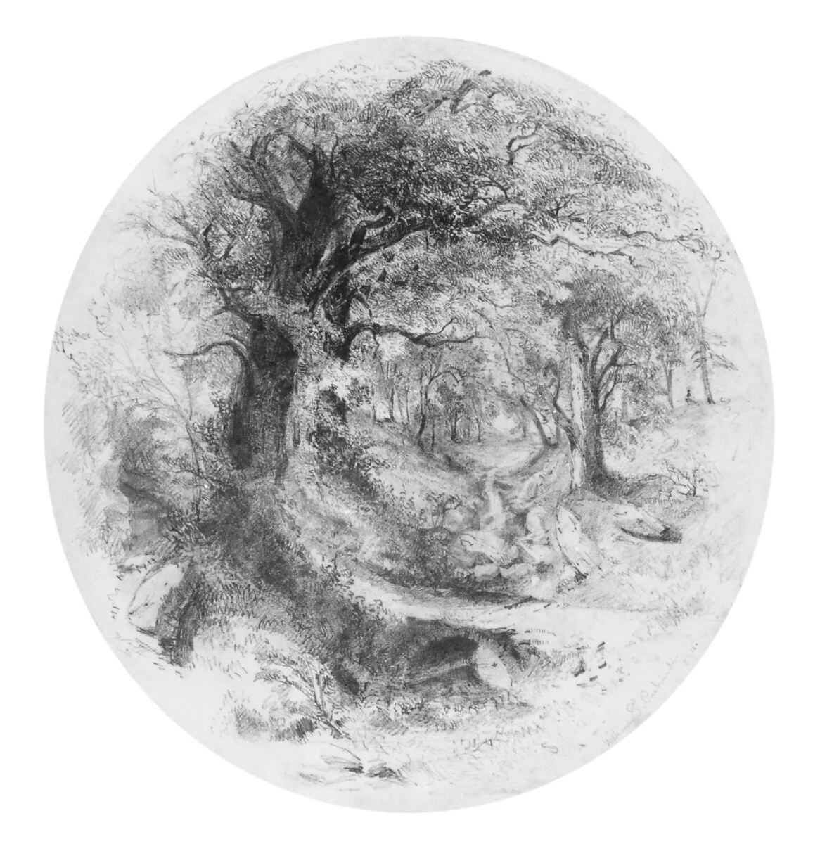 Interior of Woods with Small Stream (from Cropsey Album) — William Trost Richards