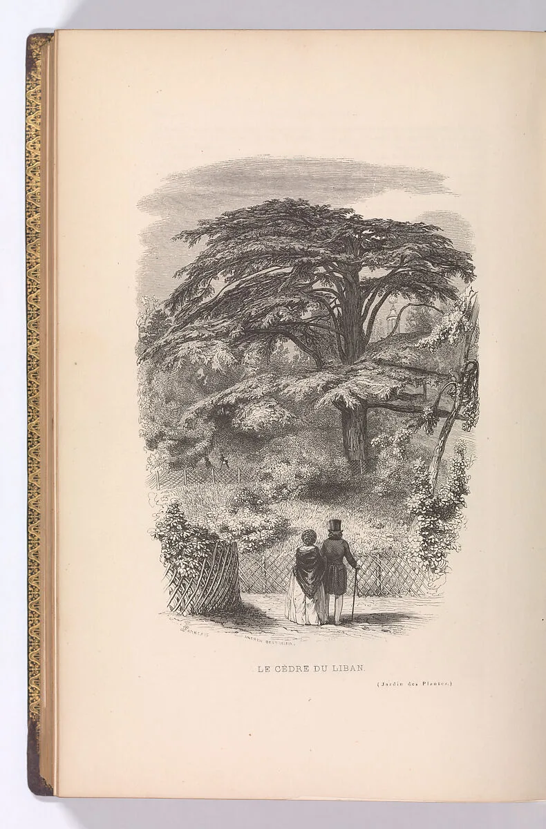 Le Jardin des Plantes, Descriptions et Moeurs des Mammiferes — Sigismond Himely|François Boitard|Werner|Susemihl|Louis-Etienne Guemied|Karl Girardet|Francois-Louis Girardet|Paul Legrand|Charles Marville|Edouard Traviès|Schneider & Legrand|Jules-Gabriel Janin|J.-J. Dubochet & Cie|Jules David|J. J. Grandville