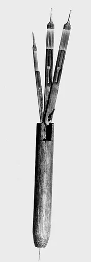 Jew's Harp