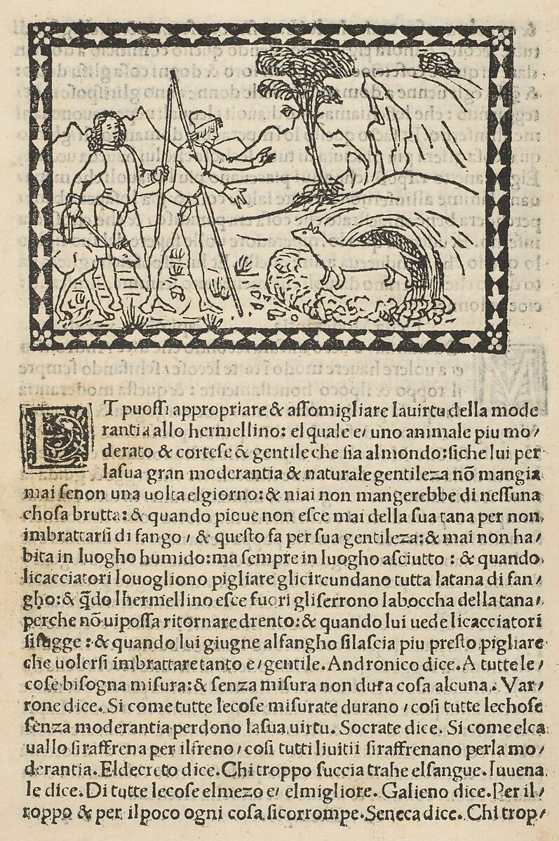 Fior di virtu hystoriato — Gianstephano di Carlo da Pavia