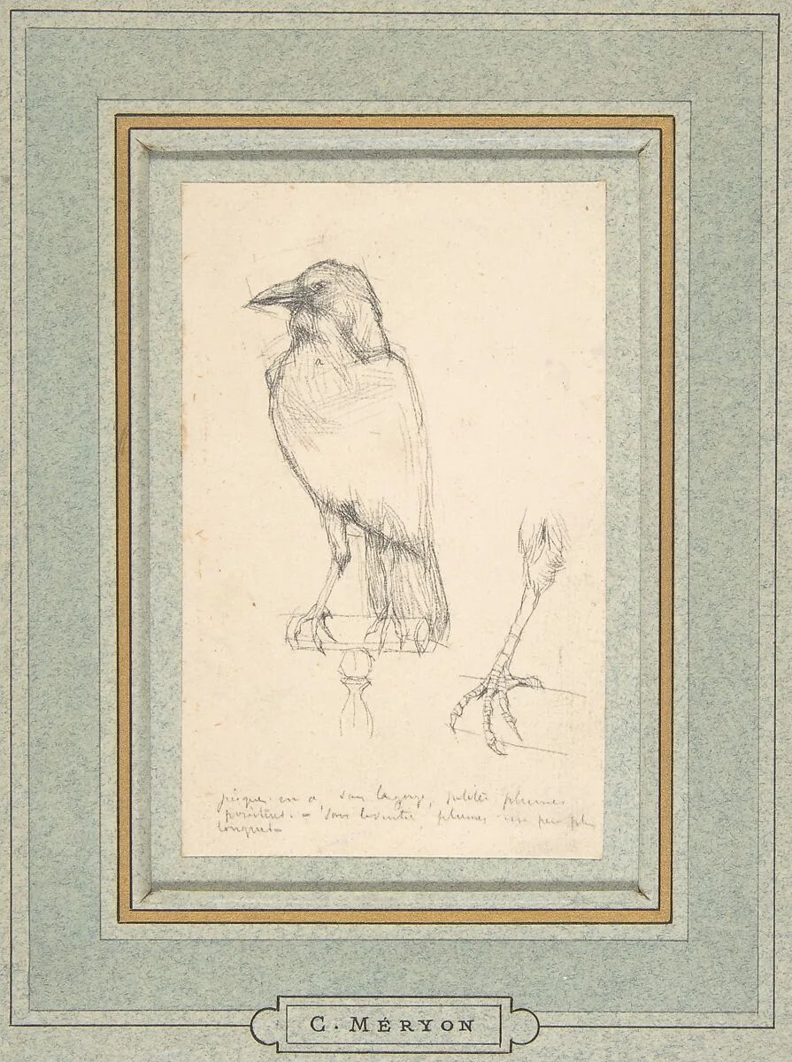 A Raven Perched on a Rail — Charles Meryon