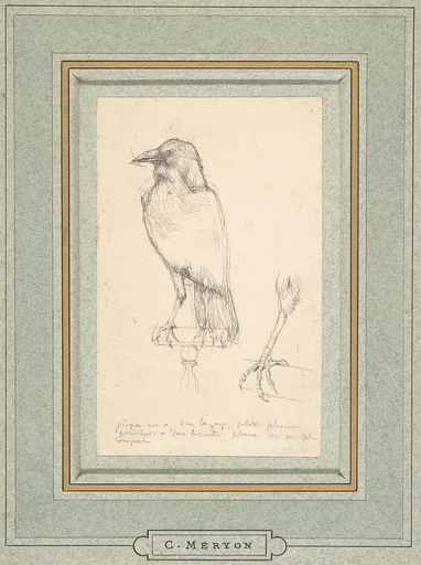 A Raven Perched on a Rail