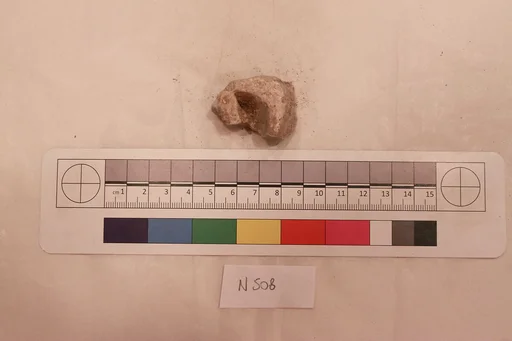 Stucco Fragment