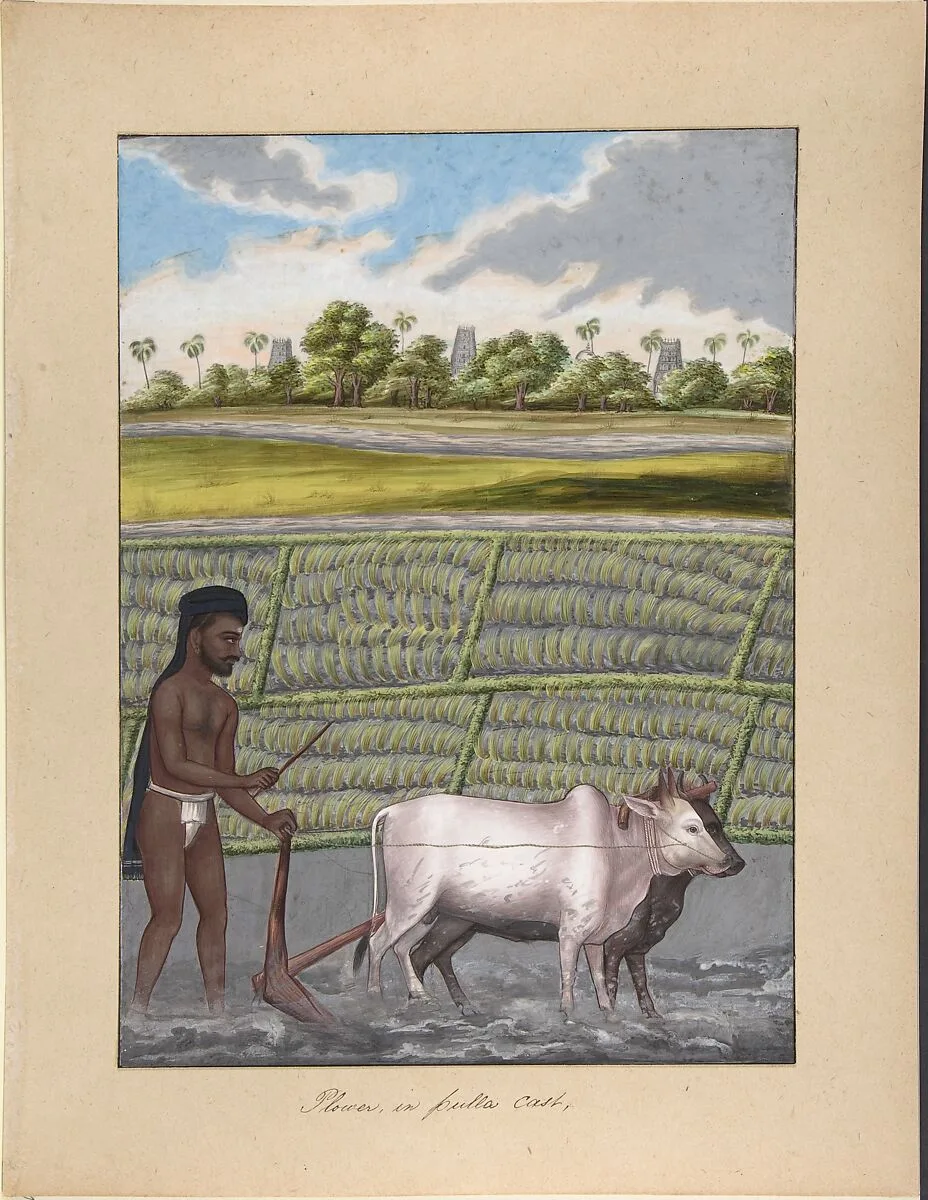 Plower in Pulla Caste, from Indian Trades and Castes — Anonymous, Indian, 19th century