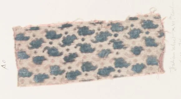 Fragment — Unknown